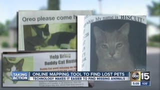 Online mapping tool tracks lost pets