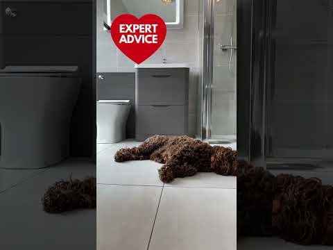 BATHROOMS YOU LOVE