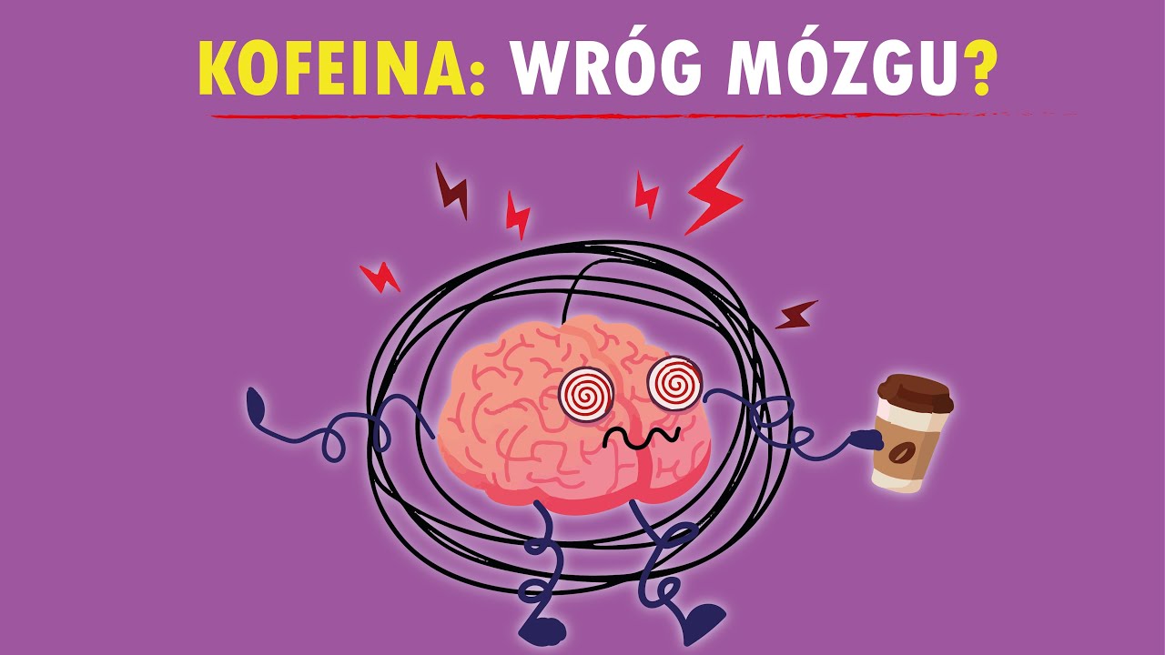 KAWA: powolny ubytek mózgu czy neuroprotekcja? Oto co naprawdę pokazuje MRI