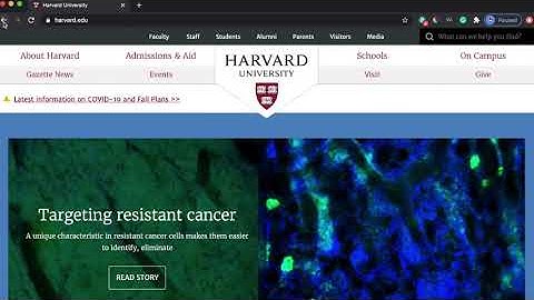 Harvard CS50 2020 Project 0 (search)