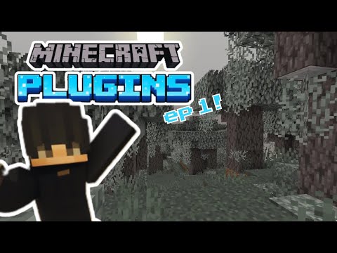 Achei o NOVO bioma! - Minecraft Plugins EP 1!