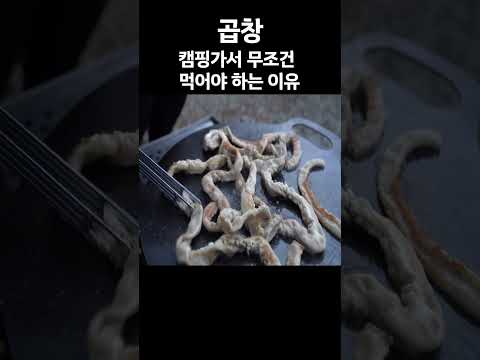 캠핑가서 곱창 꼭 먹어야 하는 <strong>이유</strong> #<strong>캠핑</strong> #곱창 #도토리TV
