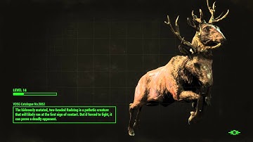 Fallout 4 arm glitch