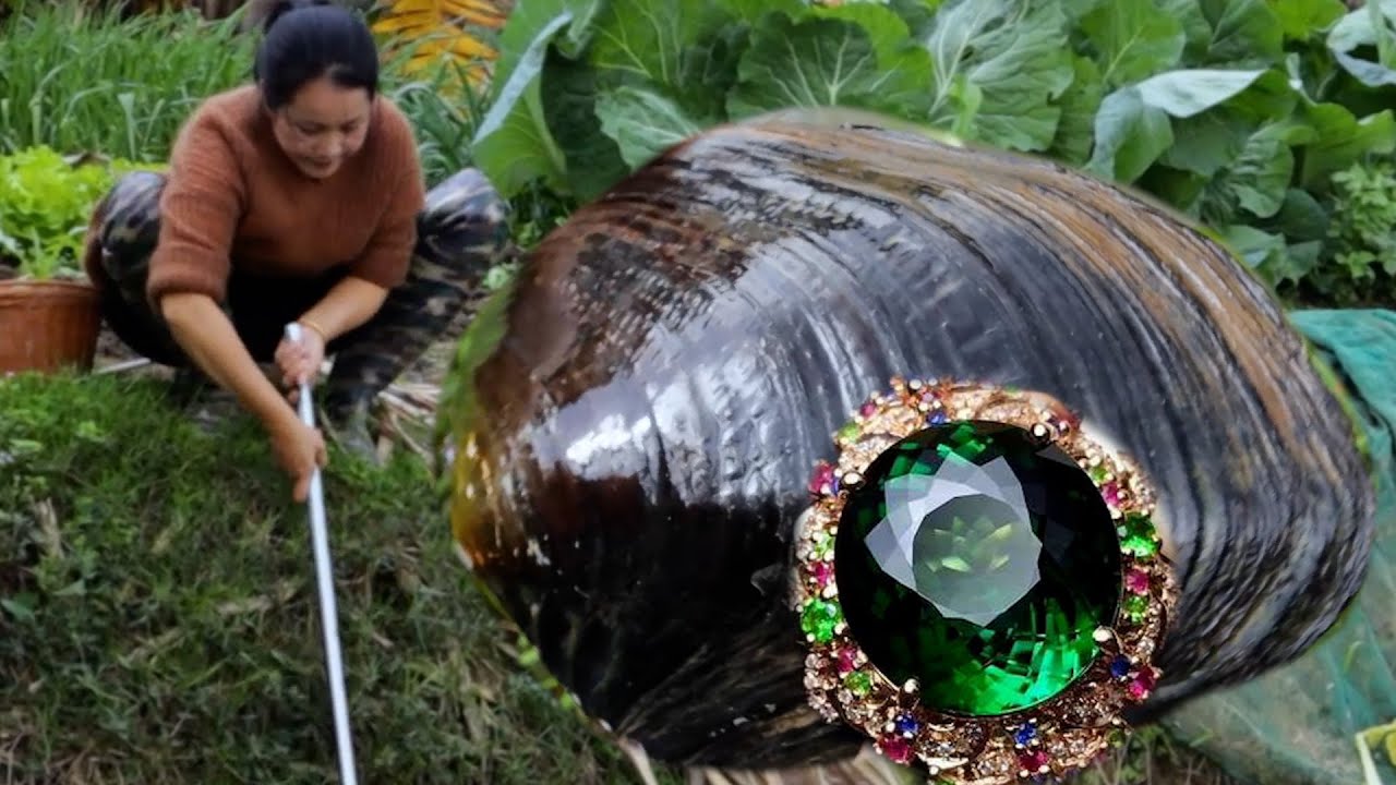 😇😇  A poor girl discovered a unique purple pearl among the river clams in the fish pond