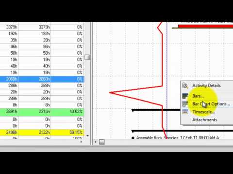 Primavera P6 8.2 Progress line.mp4