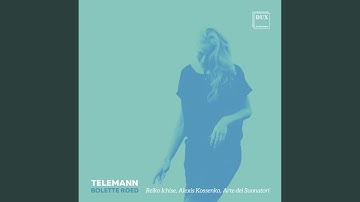 Suite for Recorder in A Minor, TWV 55:a2: IV. Menuets I & II