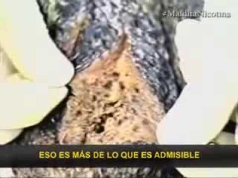 En que de luna a dejar fumar