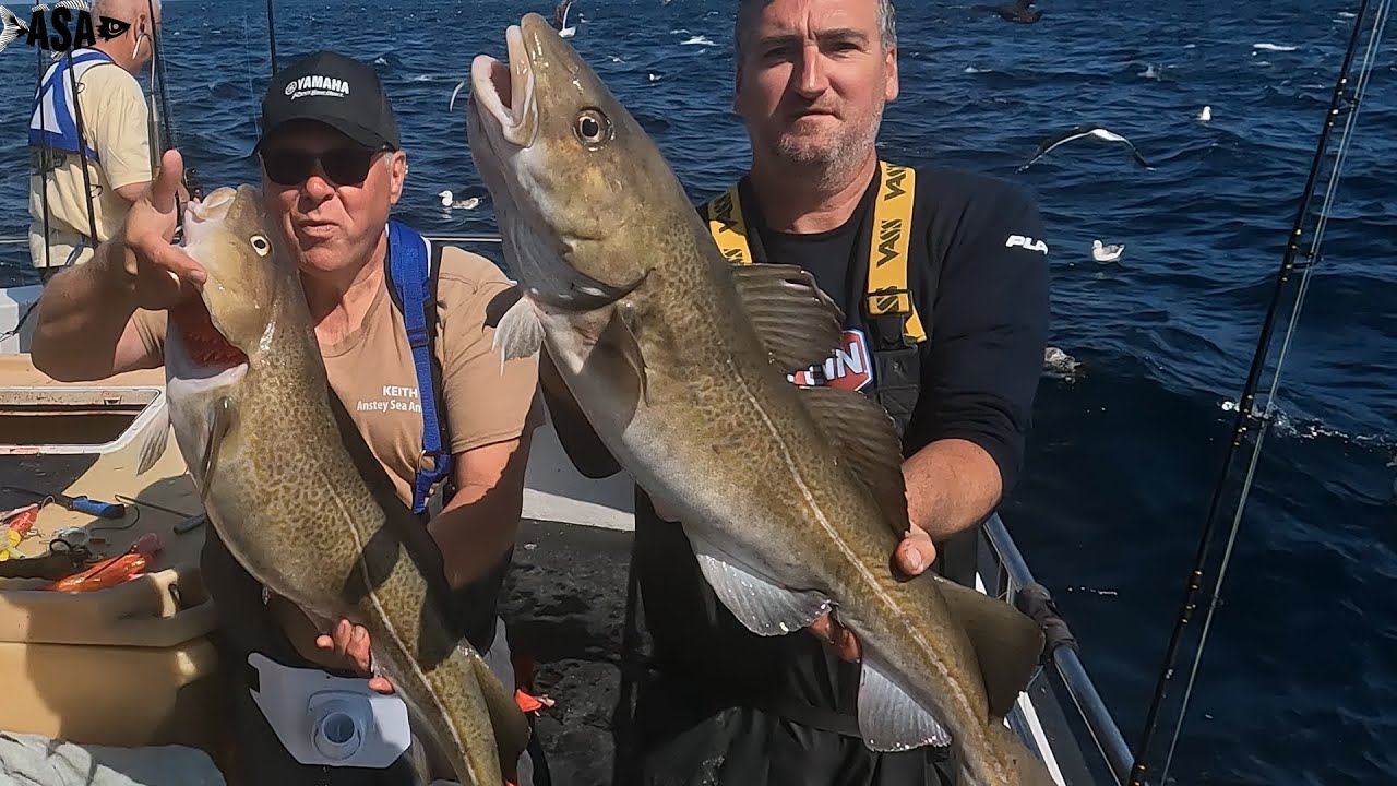 Shetland Cod Shetland July 2023. A wonderful Cod Filled Trip - YouTube