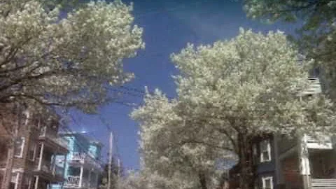 Somerville, Massachusetts (parody)