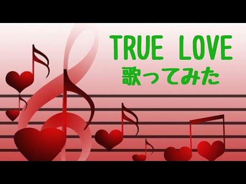 藤井フミヤ ものまね[TRUE LOVE]