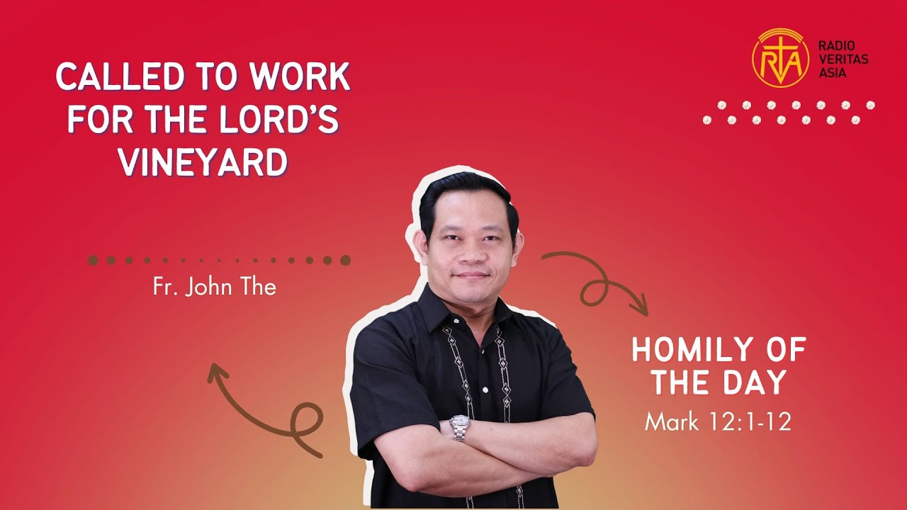 called-to-work-for-the-lord-s-vineyard-mark-12-1-12-homily-of-the