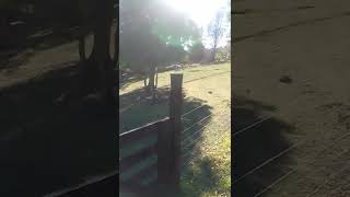 Paraje Las Golondrinas,Chubut