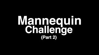 Mannequin Challenge Part 2
