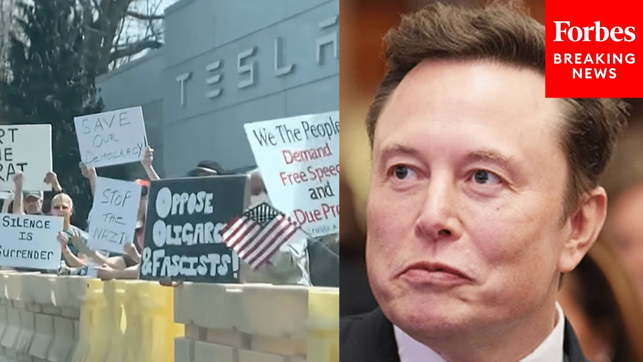 Anti-Elon Musk Protesters Gather Outside The Tesla Dealership In Cherry ...
