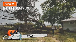 Stihl MS 661 Magnum Chainsaw - Review and Field Test