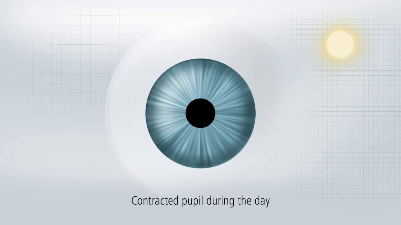 i.Scription - i.Profiler at Cliff Williams Opticians, Kirkcaldy, Fife