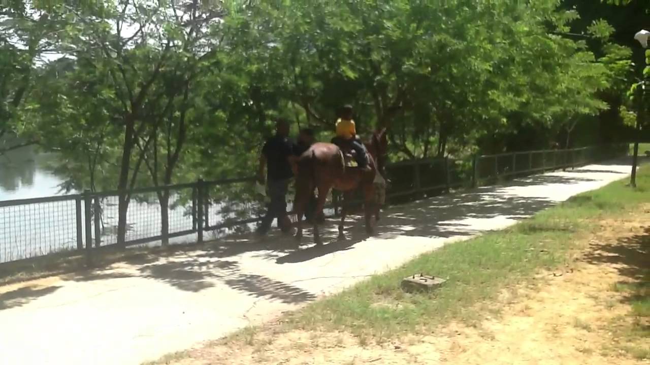 Diego montando caballo