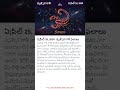 Vruschika Rasi Daily Horoscope - ఏప్రిల్ 25, 2026 | Scorpio Today Astrology