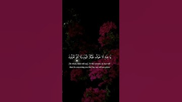 يَا عِبَادِ لَا خَوْفٌ عَلَيْكُمُ الْيَوْمَ وَلَا أَنتُمْ تَحْزَنُونَ 🤍 القارئ عثمان مشعل الحداد 🤍
