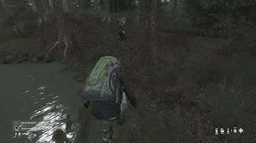 DayZ New Melee Animation!! (3rd Person)