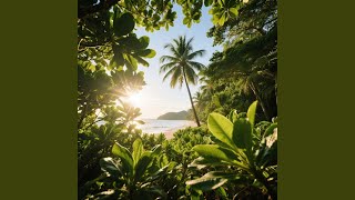 Download lagu Morning Light in Jamaica