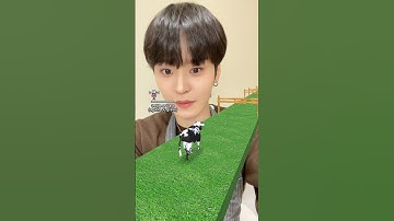 어디까지 내려가는 거↘예↗요🐮 #TEMPEST #템페스트 #태래 #TAERAE #Shorts