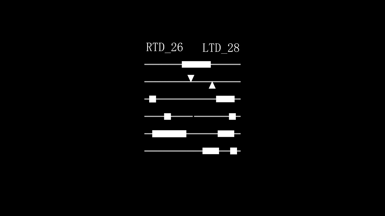 HUD 8 - YouTube