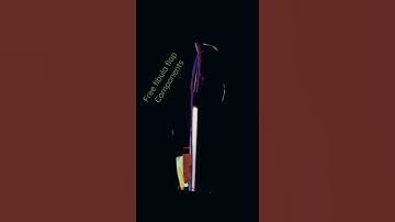 Free fibula flap _ Components_ animation