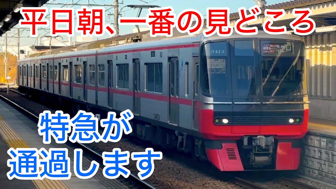 【名鉄 南桜井駅】平日朝の西尾線は見どころ満載です！