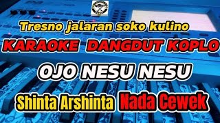 KARAOKE - OJO NESU NESU SHINTA ARSHINTA VERSI DANGDUT KOPLO ( NADA CEWEK )