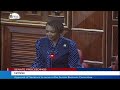 KAREN NYAMU DRAMA IN PARLIAMENT AS SHE VOTES YES!