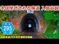 【険道 入部谷越/卵型トンネル】滋賀県道295号市場野田鴨線 を走る | 滋賀県高島市