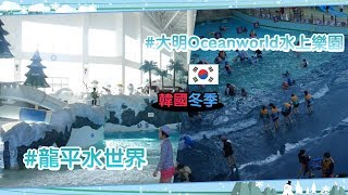 水上樂園主題- 大明水上樂園X 龍平水世界