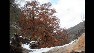 B.B King Jams With Slash And Others - Live At The Royal Albert Hall 2011 - 432 hz