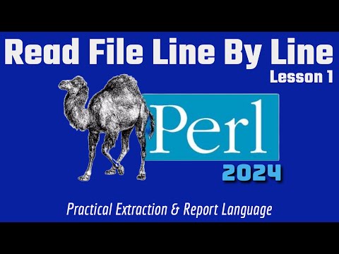 Perl Read File Line By Line 2024
