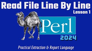 Perl Read File Line By Line 2024