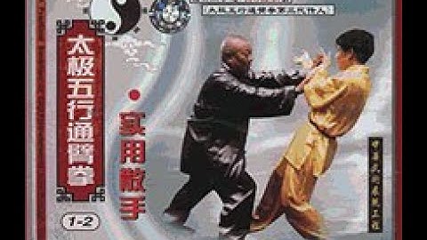 Tai Chi  5 Elements TonBei Fist. Practical Sanshou(Part 3)