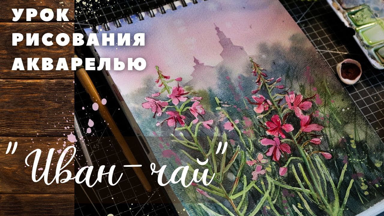 Рисуем пошагово акварелью Иван-чай #акварель #мастеркласс #скетч #урокрисования #урокакварели #арт