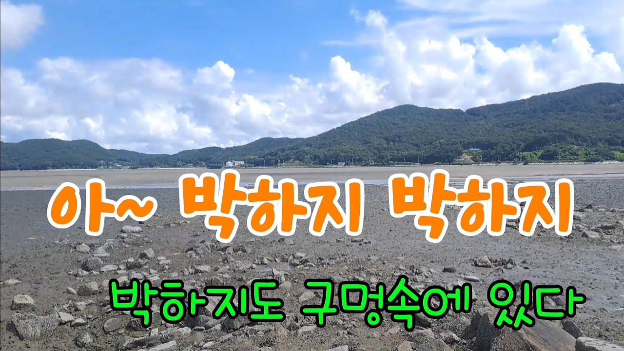 박하지~ 박하지~ 박하지도 구멍속에?