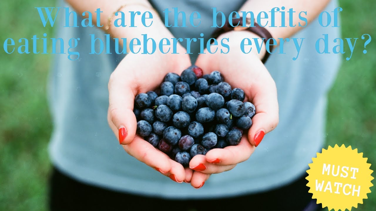 What Happens When You Start Eating Blueberries Everyday YouTube