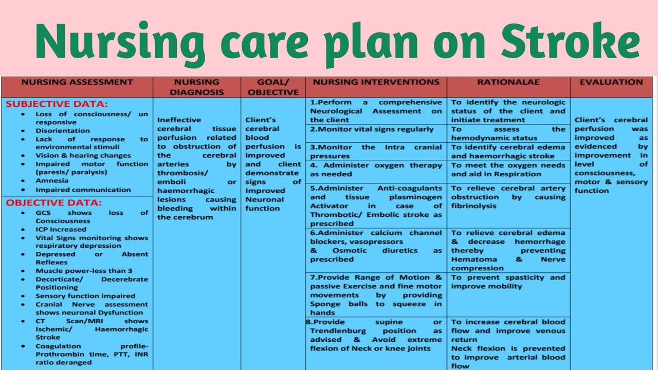 nursing care plan presentation