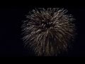 Fireworks at the Fetes de Geneve 2015