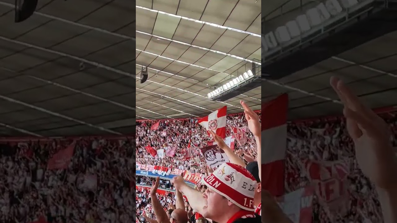 FC Köln ultras with massive support in Munchen in a match against Bayern!