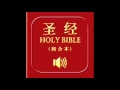 和合本圣经 民数记 Chinese Union Version Bible Numbers 和合本圣经 民数记 Chinese Union Version Bible Numbers