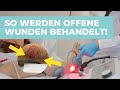 Reha Experte klärt auf! So werden offene Wunden nachhaltig behandelt!
