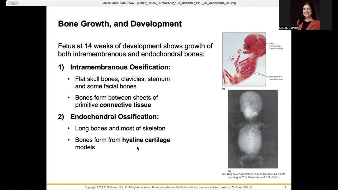 BIOL117N: Ch 7- Bones and Joints