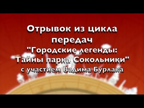 Video: Cosa Accadrà Nel Parco Sokolniki