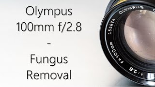 Lens repair: Olympus 100mm f/2.8 : Fungus cleaning