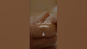 سورة الفرقان | Surat Al-Furqan | سعد الغامدي | Saad Al-Ghamdi