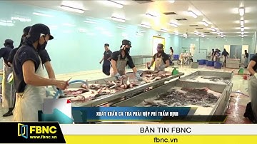 FBNC - Xuất khẩu cá tra phải nộp phí thẩm định